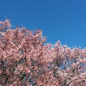 Meet your Posher, Cassandra